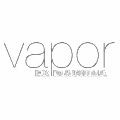 KeramikVerdampferköpfe für den Vapor Giant GO3 Vapor Giant - Smokkie
